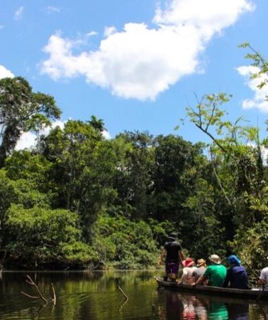 5D4N • Deep Yasuni Wildlife Experience