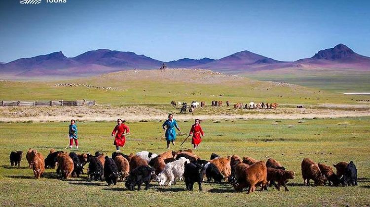 3D2N · Group Tours · 3 days Semi Gobi Desert and Genghis Khan Statue