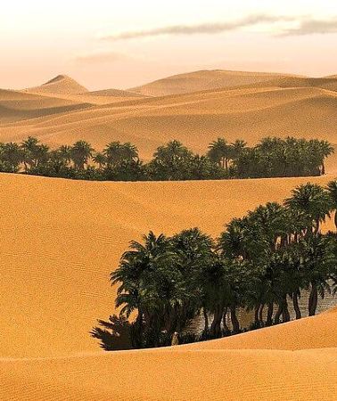 5D4N • 5-Days Private Oman Tour from Muscat
