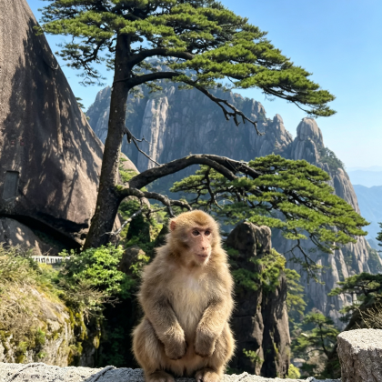 黄山风景区2日1晚跟团游