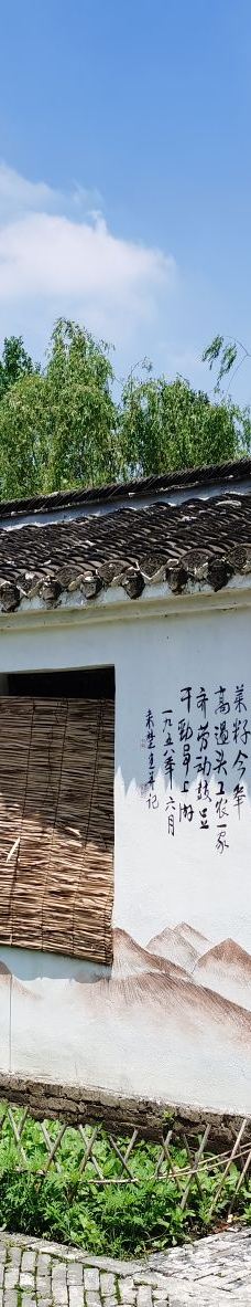 溱湖国家湿地公园-泰州