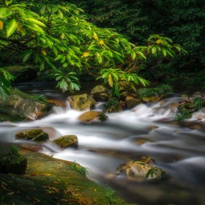 长沙+张家界+大峡谷+武陵源+天门山+湘西+凤凰古城6日5晚拼小团