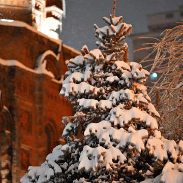 哈尔滨4日3晚自由行