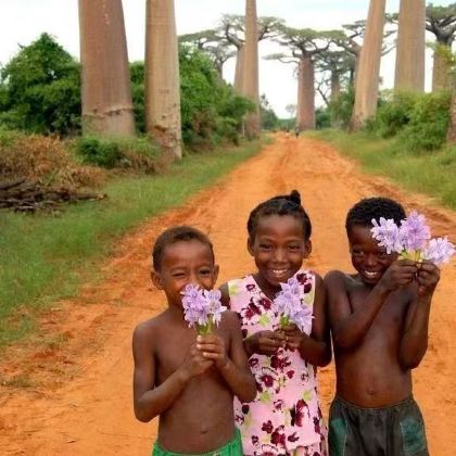 马达加斯加塔那那利佛+猴面包树大道+昂达西贝国家森林保护区+贝马拉哈国家公园+拉努马法纳国家公园+安齐拉贝+图莱亚尔17日半自助游