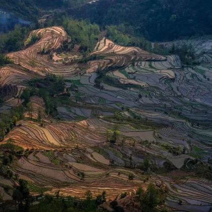 建水+元阳2日1晚自由行