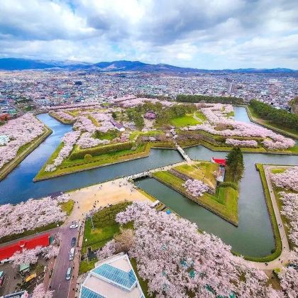 日本北海道札幌+登别+洞爷湖町+函馆+小樽+富良野+美瑛町+旭川+泷野铃兰丘陵公园+白色恋人公园+登别熊牧场+洞爷湖游览船+函馆山+四季彩之丘11日10晚私家团