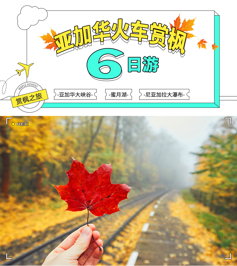 多伦多