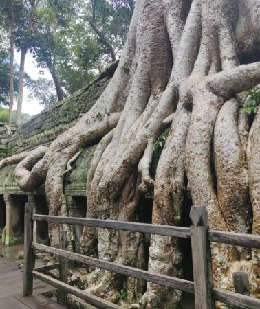 6D5N • 6-Day 5-Night 12-Person Boutique Guided Tour: Cambodia Siem Reap Angkor Wat + Royal Palace of Cambodia + Tonle Sap Lake