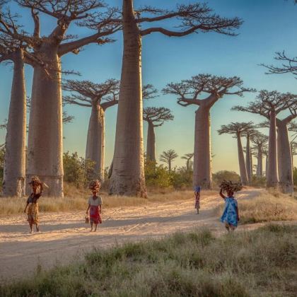 毛里求斯+马达加斯加9日8晚自由行