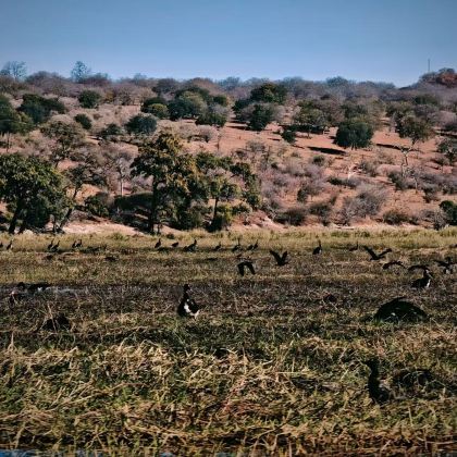 博茨瓦纳+赞比亚10日9晚私家团