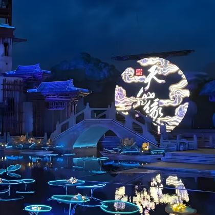 盐城丹顶鹤湿地生态旅游区+大洋湾生态旅游景区3日2晚自由行