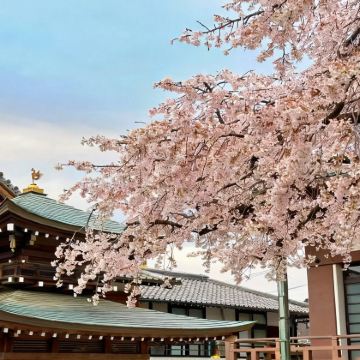 日本名古屋+下吕温泉 喷泉池+白川村+兼六园5日4晚私家团