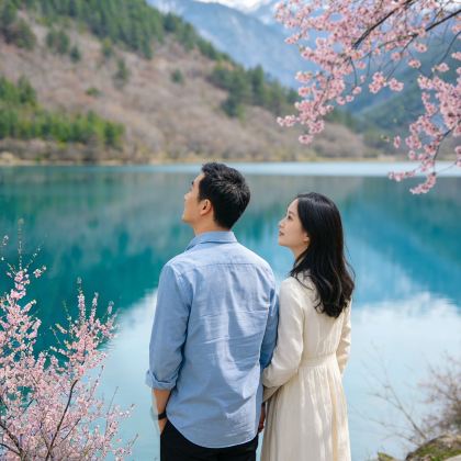 成都+都江堰+峨眉山+乐山+杜甫草堂+武侯祠+成都大熊猫繁育研究基地6日5晚跟团游