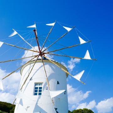 日本四国+高松+松山+高知市+祖谷溪+小豆岛7日6晚拼小团