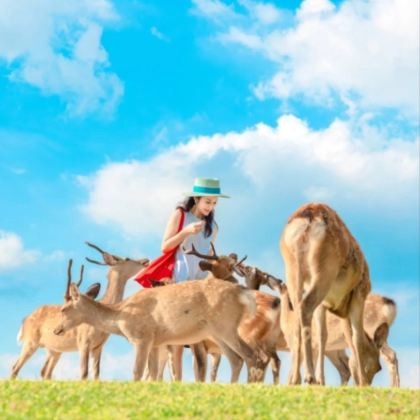 吉林长白山+延吉6日5晚跟团游