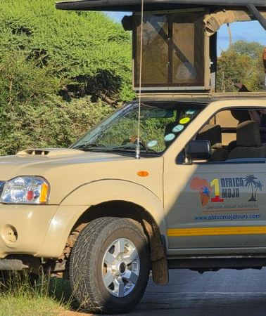 3D2N • Kruger National Park. 3 Days Best Ever Safari from Cape Town