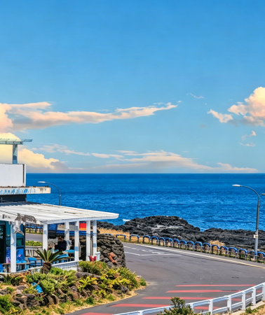 2D1N • Jeju Island Stay one night in Seogwipo, admire the Jeonnong-ro cherry blossoms, tour the Aewol Coast, visit Jusangjeolli Cliffs and Sangumburi