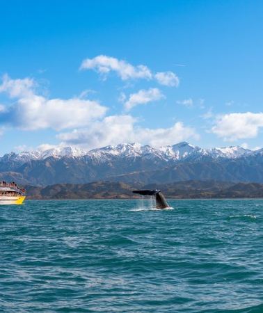 5D4N • 5Day/4Nights Auckland to Christchurch Tour