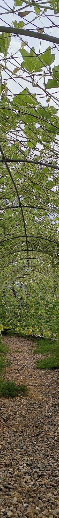 九峰山养心谷旅游度假区-伊春