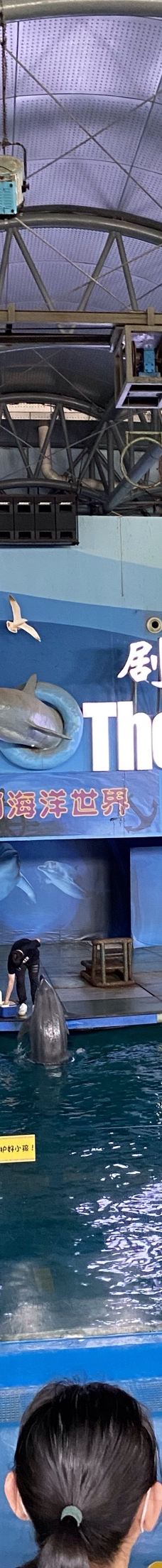 苏州海洋馆-苏州