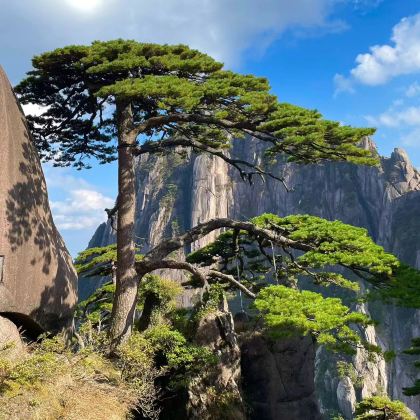 黄山市+宏村景区+婺源篁岭景区3日2晚跟团游