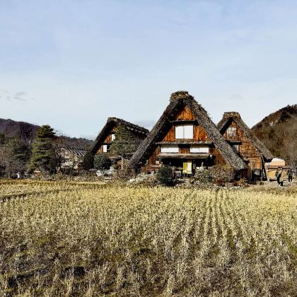 日本高山市+白川乡2日1晚私家团