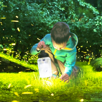 西双版纳+普洱6日5晚私家团