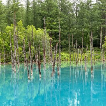 日本北海道札幌+登别+洞爷湖町+函馆+俱知安町+小樽+美瑛町+泷野铃兰丘陵公园+中岛公园+登别熊牧场+洞爷湖游览船+五棱郭公园+三岛芝樱公园9日8晚私家团