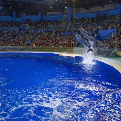 日照2日1晚跟团游