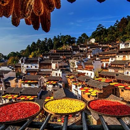 江西南昌+庐山风景名胜区+景德镇+婺源篁岭景区+望仙谷+三清山风景区6日5晚跟团游