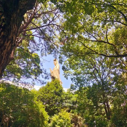 普陀山2日1晚私家团