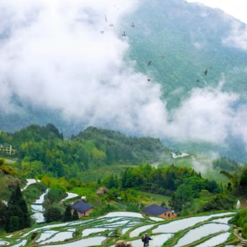 丽水4日3晚拼小团