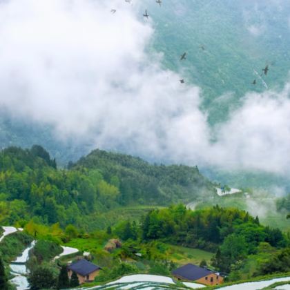 丽水4日3晚拼小团