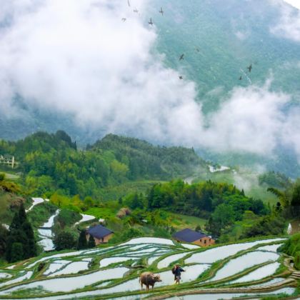 丽水4日3晚拼小团