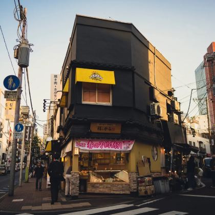 日本东京+胡萝卜塔6日5晚私家团