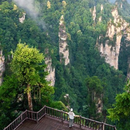 长沙+张家界+天门山+湘西+凤凰古城5日4晚跟团游