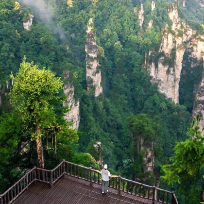 长沙+张家界+天门山+湘西+凤凰古城5日4晚跟团游