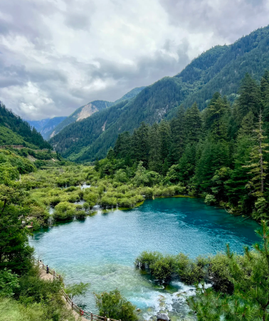 6日•人氣熱銷暢遊四川,暢遊九寨溝景區&黃龍景區、賞熊貓基地萌寵+探祕古蜀文明三星堆+世界遺產都江堰,享成都市區citywalk