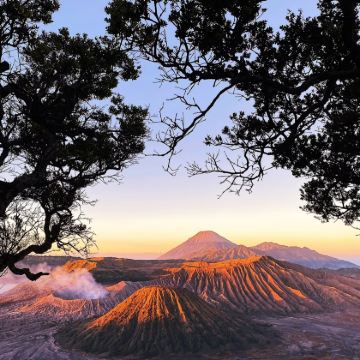 印度尼西亚巴厘岛+佩妮达岛+科莫多岛+布罗莫火山+乌布8日7晚跟团游