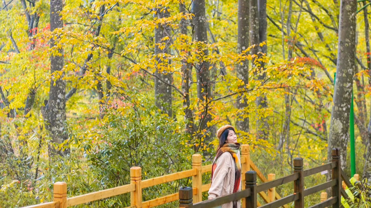 成都6天自由行，九寨沟打包服务全攻略