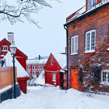 芬兰+丹麦+瑞典+挪威+爱沙尼亚12日跟团游