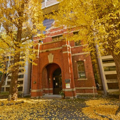 【秋假限定】·日本大阪+京都【三大名校】3天2晚游学短假|关西三名校深度探校：京都大学|大阪大学|立命馆大学+名校在校学子导览讲解，留学规划心得分享+双语司导外加全程线上管家服务+精华景点随心配+淡季高效往返