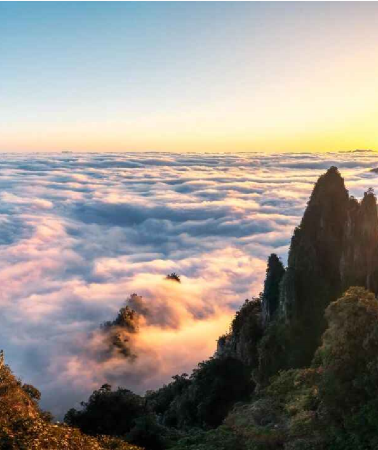 3日2晚 • 莽山森林溫泉3天團 · 《四季如畫~莽山+高鐵往返》連續2晚保證入住莽山森林溫泉度假酒店+「諾亞方舟」懸崖溫泉 「莽山國家森林公園」 【莽山瑤族十八碗特色風味宴】莽山美景跨省純玩3天團