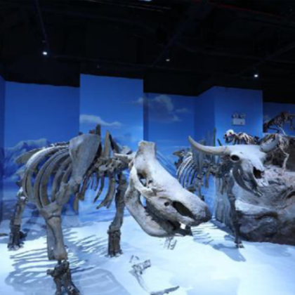 美国奥斯汀+圣安东尼奥+休斯敦6日5晚私家团