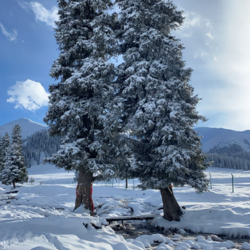 新疆伊犁+伊宁市+那拉提旅游风景区2日1晚自由行