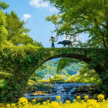 江西望仙谷+三清山风景区+婺源篁岭景区+景德镇4日3晚私家团