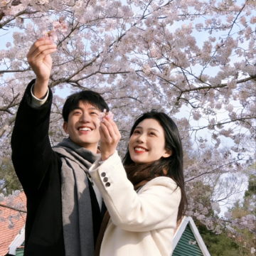 青岛+威海+烟台5日4晚私家团