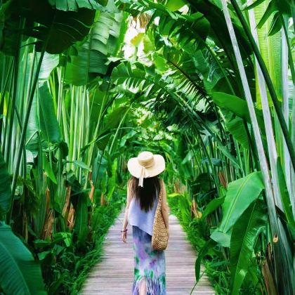 广西南宁+德天瀑布+通灵峡谷+明仕田园5日4晚拼小团