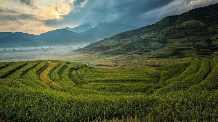 11-Day Classic Vietnam In 11 Days - Departure from Ho Chi Minh