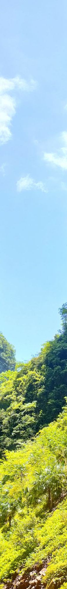 武隆天生三桥-重庆